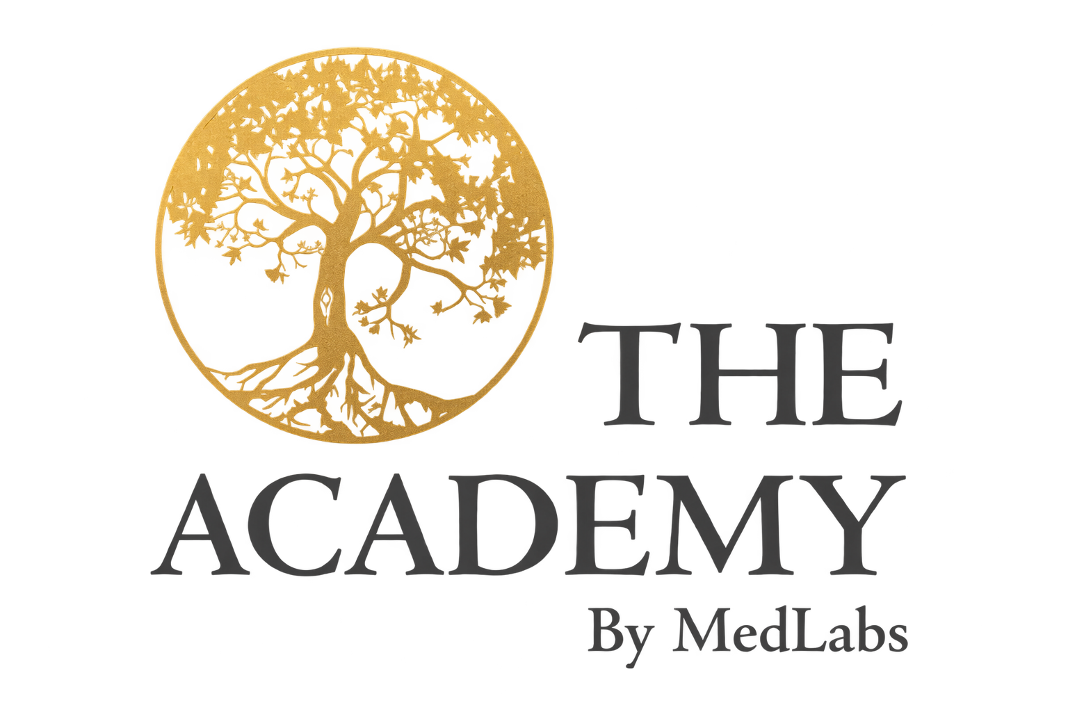 The Academy by Med Labs logo