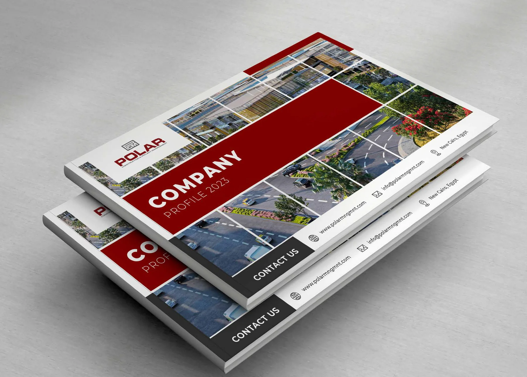 POLAR company profile