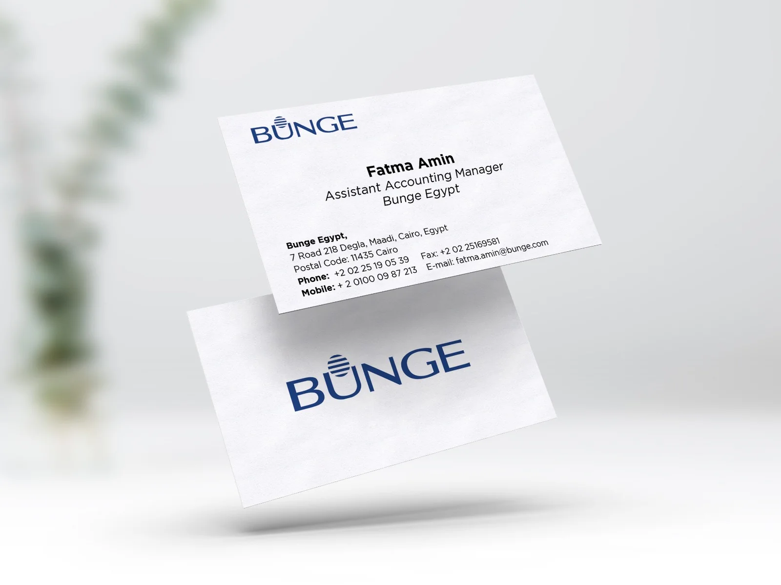 Bunge Egypt selected corporate production